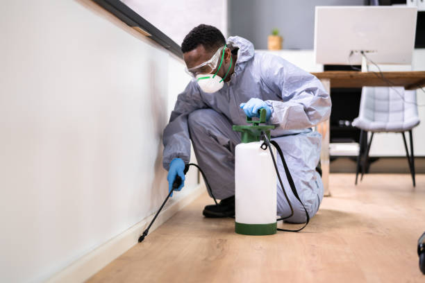 Professional Pest Control in Honea Path, SC